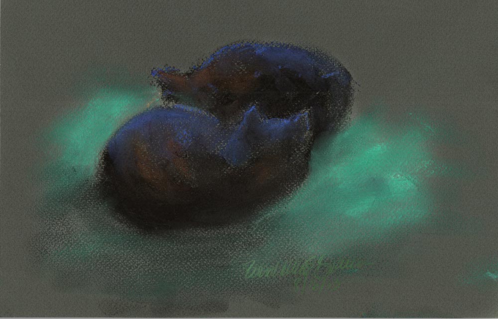 "Deep in Sleep", Sennelier soft pastels on pastello paper, 10" x 6.5", 8/16/2013 © Bernadette E. Kazmarski