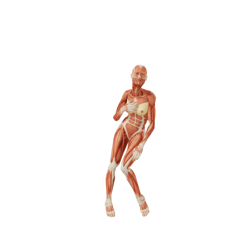 24 Human Pose Reference 3d Models Ideas Pose Reference Human Poses - Download Classic Dark Texture | Mobile