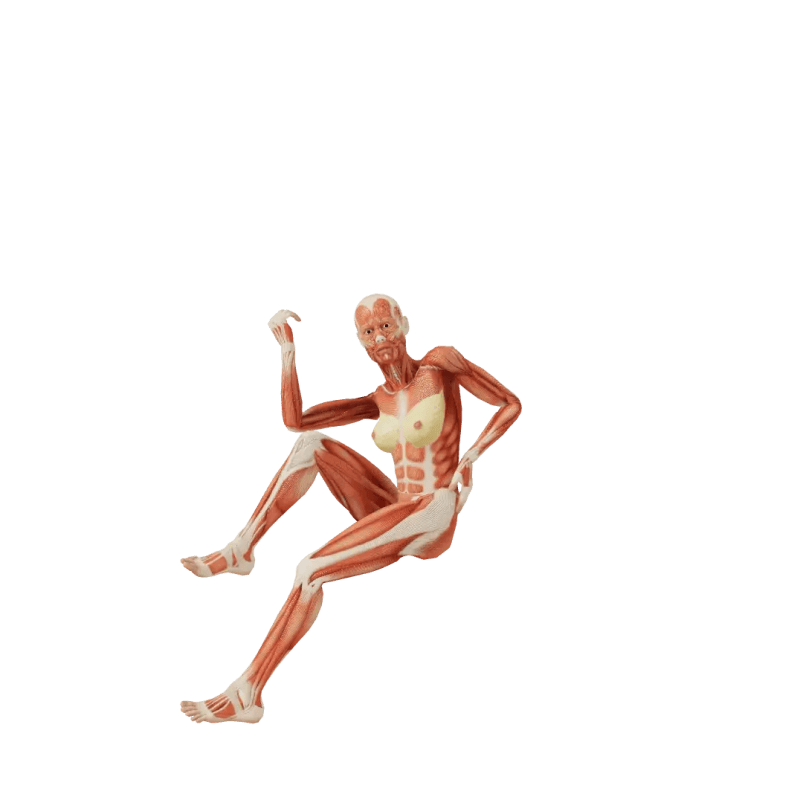 Body Twisting Video Effect Tutorial For Complete Beginners Using - Perfect Sunset Pattern - HD