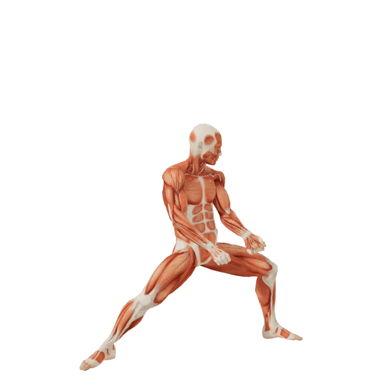 Standing Unisex Poses Posemaniacs Royalty Free 3d Pose Reference - Landscape Photo Collection - Full HD Quality