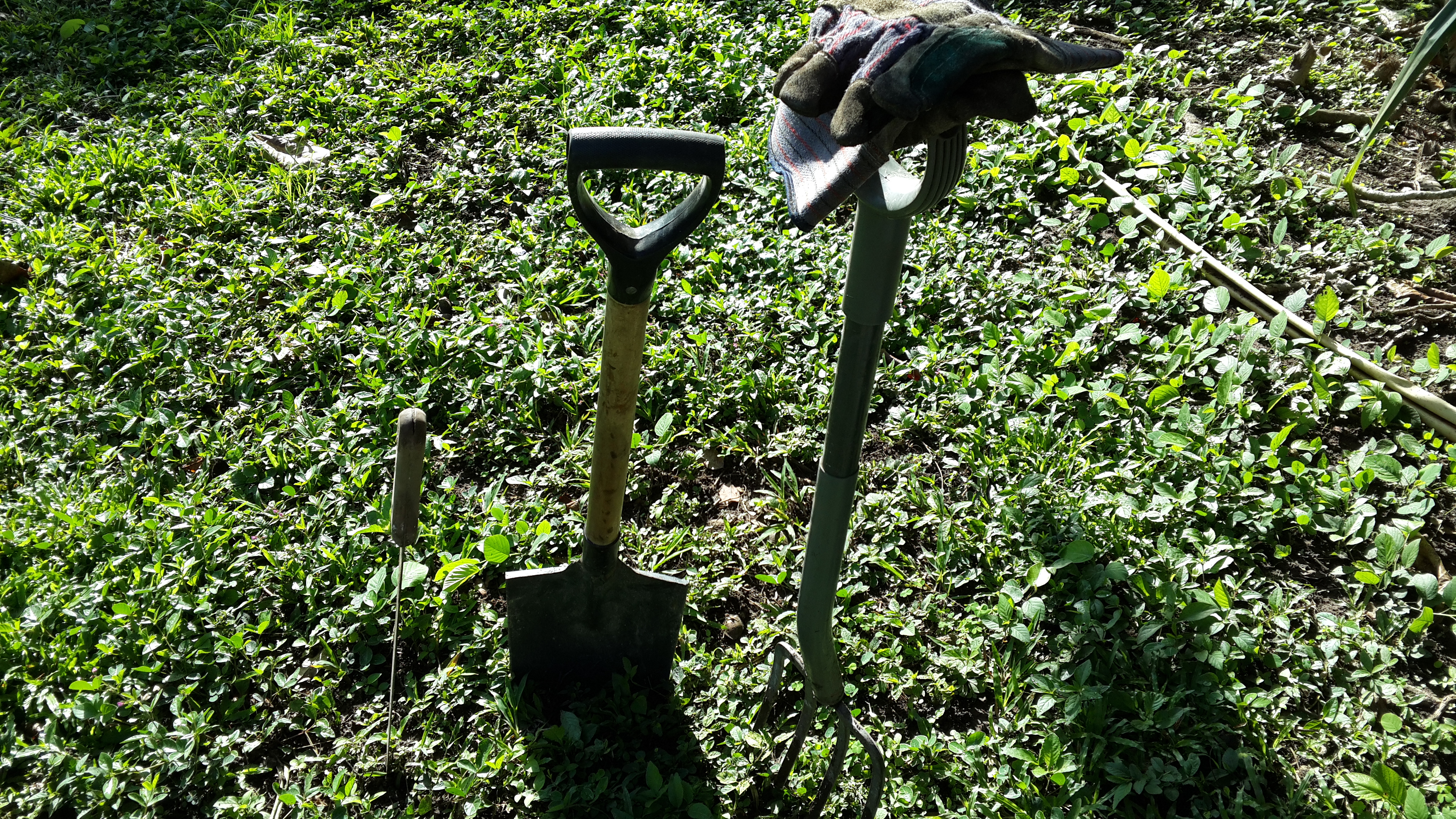 My tools - machete, spade, garden fork and gloves