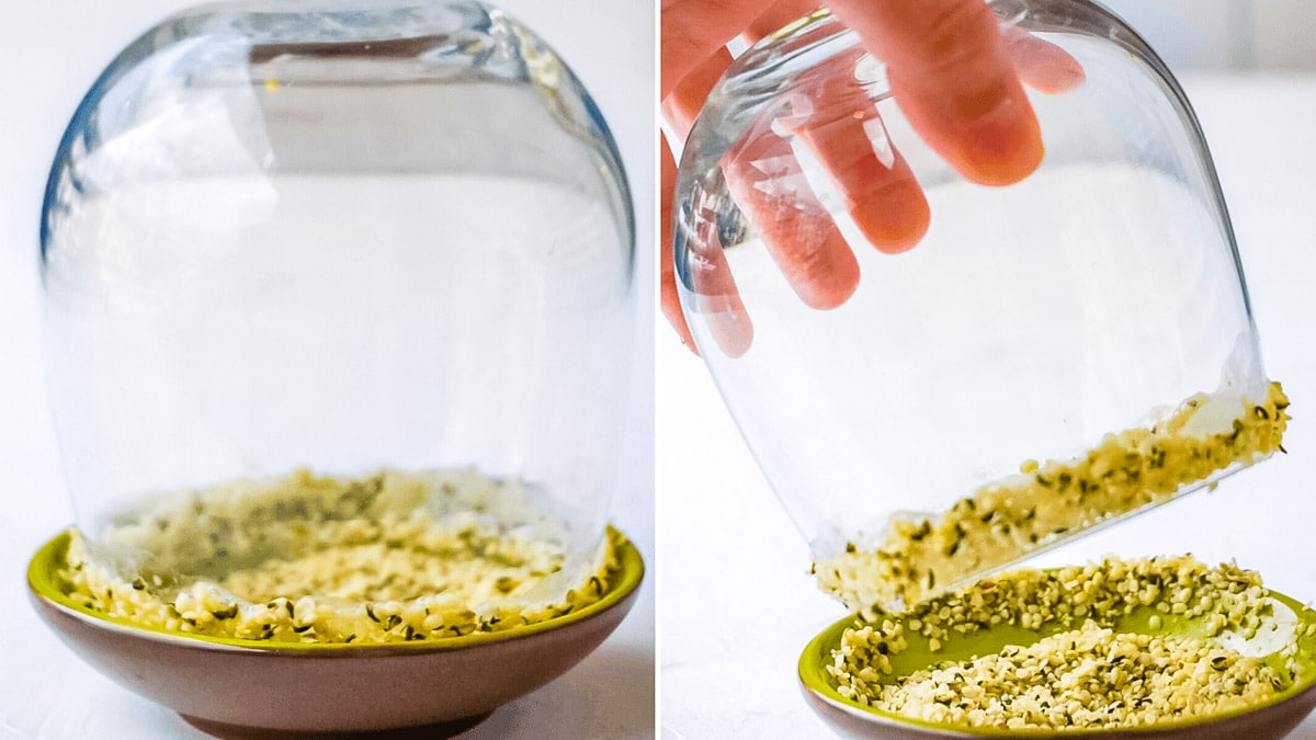 The rim of a glass being dipped into hemp seeds.
