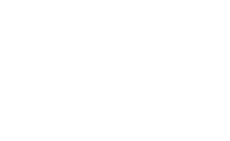 Positively PNW Walking Tours