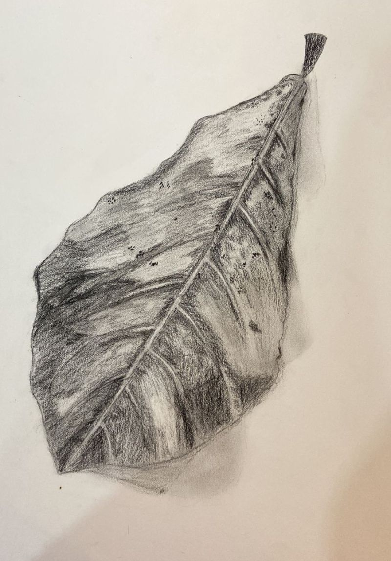 Lipsa Behera Github - Sunset Background Collection - Desktop Quality