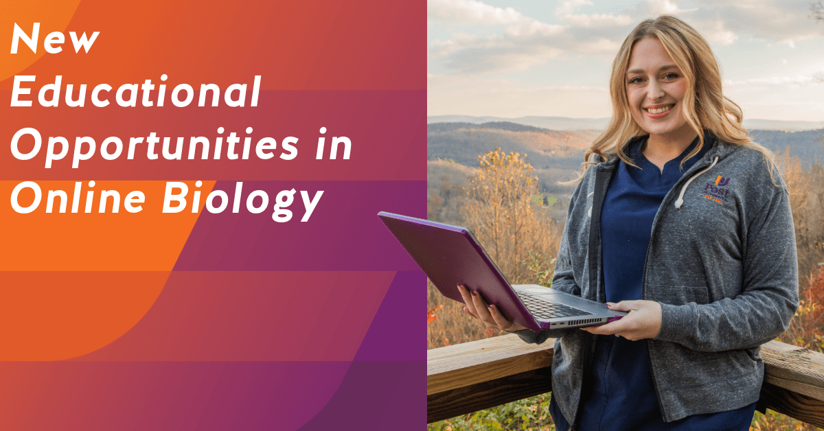 Biology Graduate Working Online