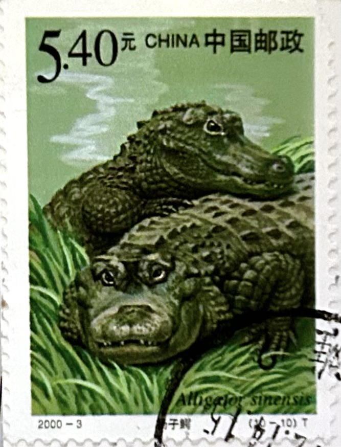 Sunday Stamps: A is for Amphibians