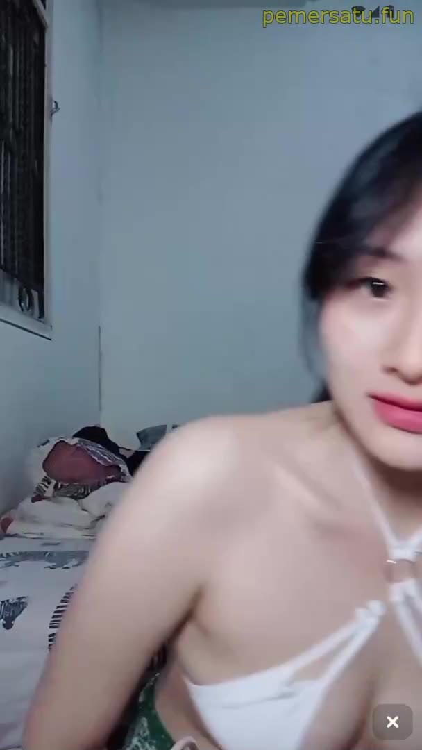 P1 CINDYY DREAM LIVE