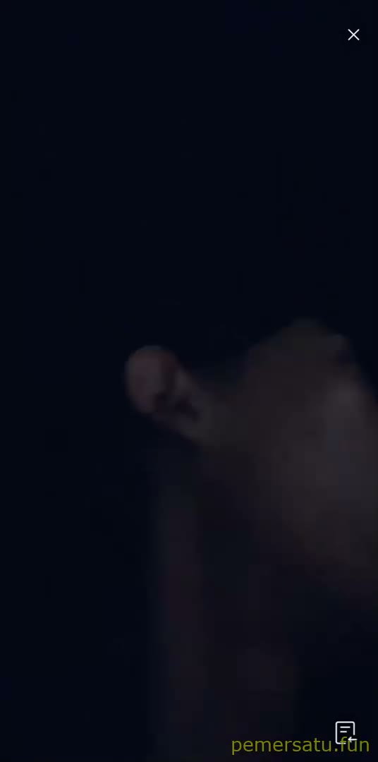 Fun Karina Dan Pak Kumis- Live Pemersatu