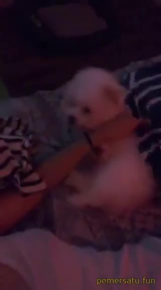 P1 Leiram V Abg 18yo Pemersatu Fun