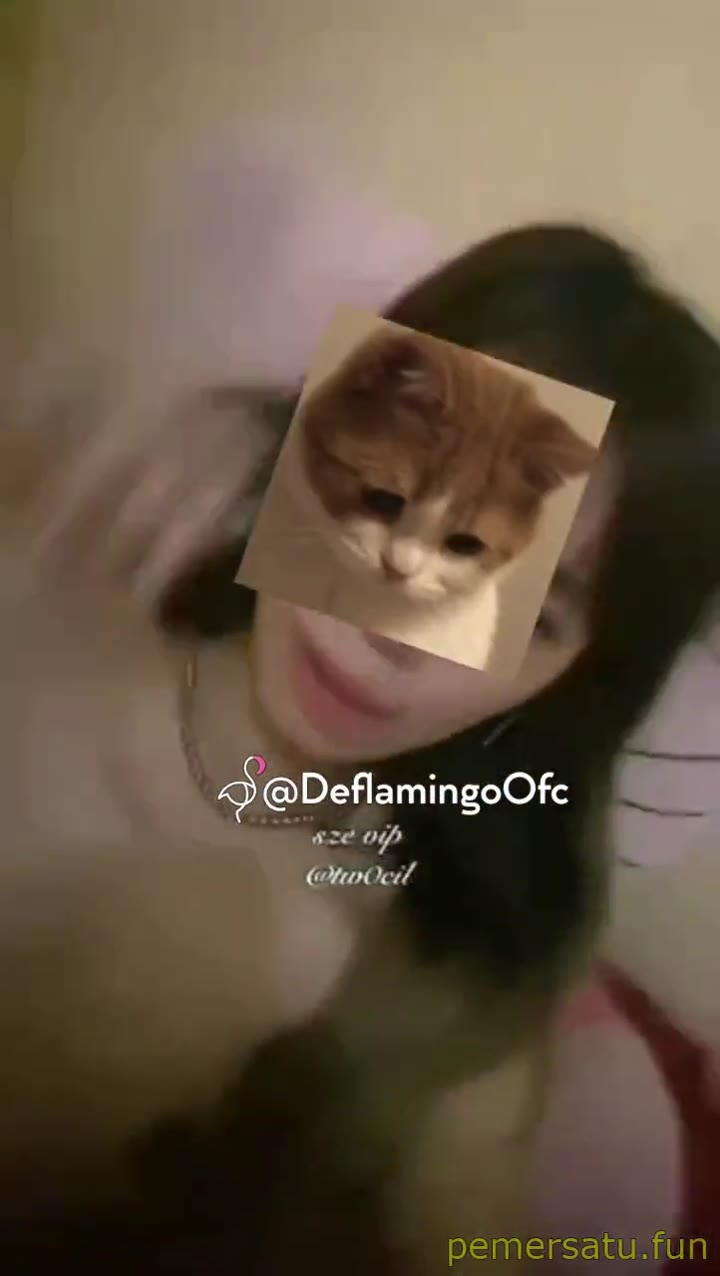 P8 Talent Sze Yang Lagi Banyak Dicari