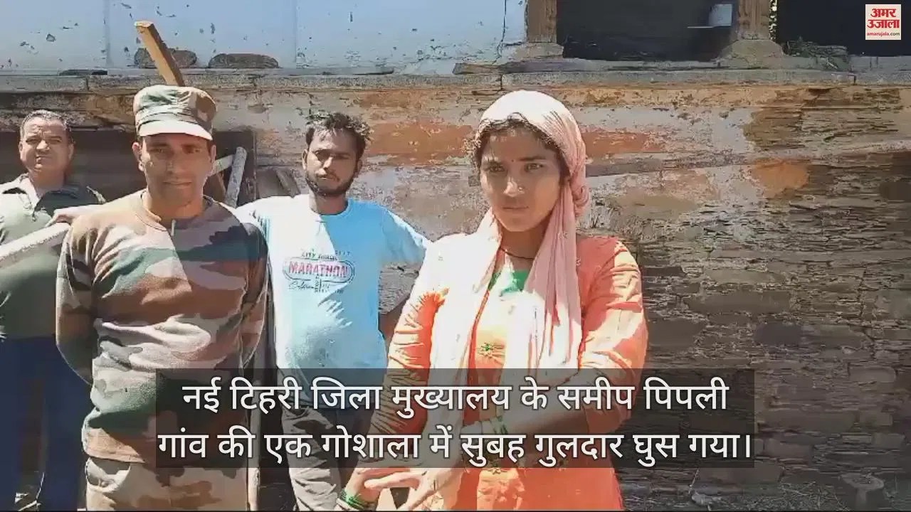 Video : Uttarakhand News Leopard In Cowshed In Tehri People Locked Door – Amar Ujala Hindi News Live