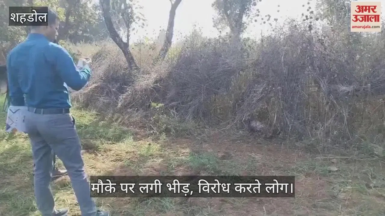 Shahdol: 16 दिन से लापता युवक का कंकाल मिला, एक हाथ भी गायब, हत्या की आशंका पर अड़े परिजन; 10 घंटे बाद उठा शव