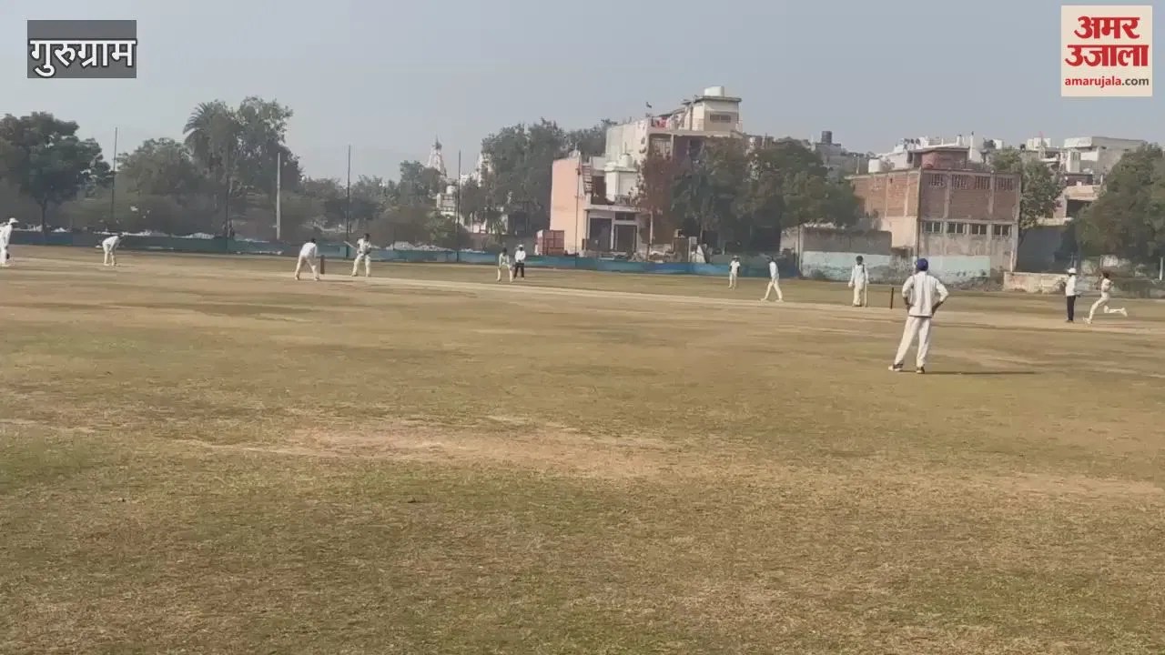 Gurugram: महेश क्रिकेट अकादमी की शानदार जीत, एमटी क्रिकेट अकादमी को 337 रनों से हराया  Latest Haryana News