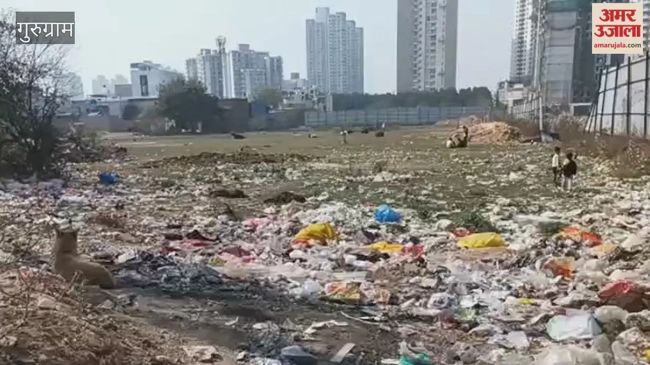 Gurugram: सूरत नगर फेज-दो की मुख्य मार्ग पर कूड़े के ढेर से फैली गंदगी, प्रशासन बेखबर  Latest Haryana News