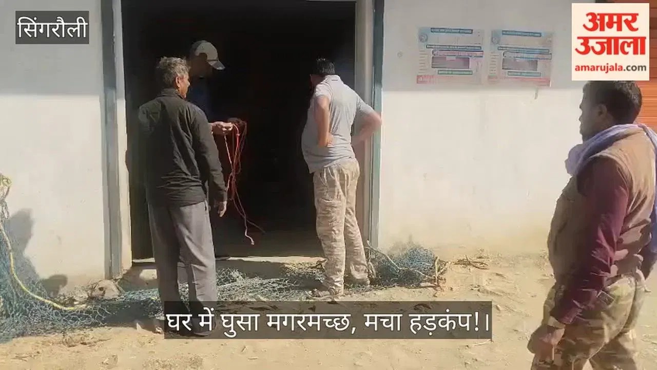 Singrauli News: सिंगरौली जिला में आधी रात घर में घुसा मगरमच्छ, चितरंगी के बड़ाकुड गांव में मचा हड़कंप; वीडियो