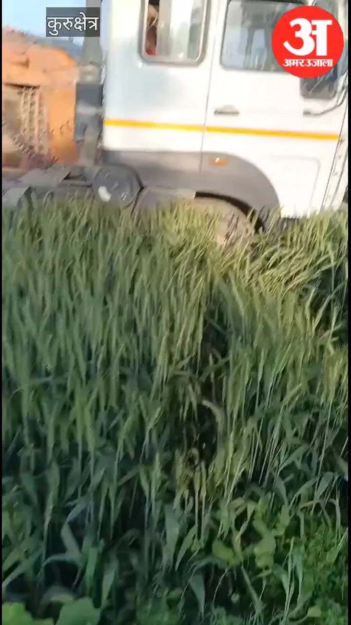 कुरुक्षेत्र: खानपुर के पास सीमेंट से भरा ट्रक खेत में पलटा, गेहूं की फसल हुई तबाह Latest Haryana News