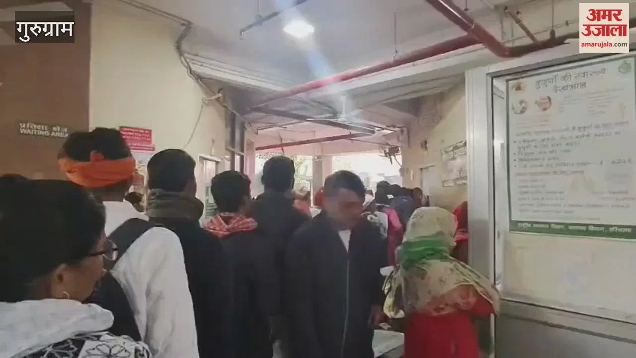 गुरुग्राम में डॉक्टरों की हड़ताल: पहली मंजिल तक लगी लंबी कतार, ओपीडी में इंटर्न के सहारे मरीज, जानें क्या कहा  Latest Haryana News