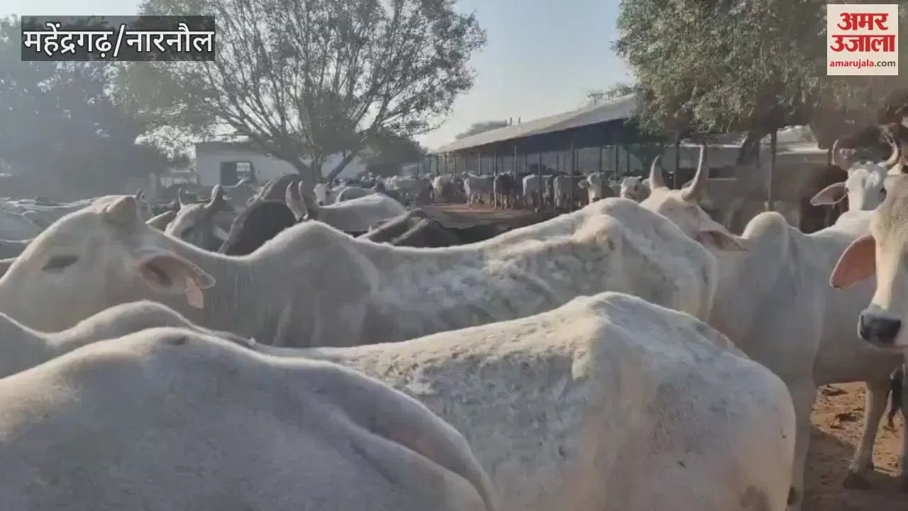 महेंद्रगढ़ में कनीना निवासी नीलम देवी ने पौते के जन्मदिन पर 50 गायें गोद लीं, श्री कृष्ण गौशाला को 2.51 लाख रुपये की भेंट  haryanacircle.com