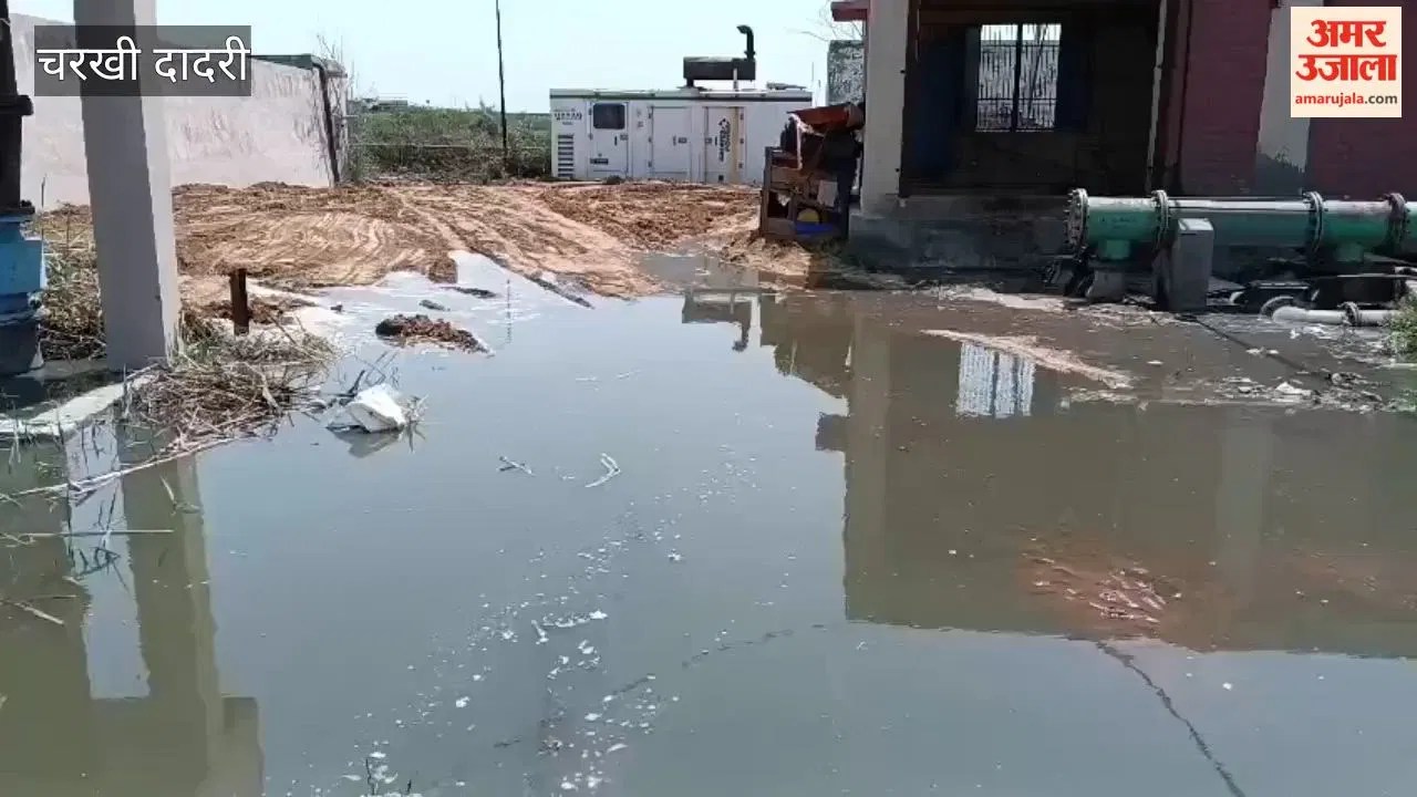 चरखी दादरी: विभाग और एजेंसी के तालमेल की कमी का खामियाजा भुगत रहे किसान, 250 एकड़ में भरा दूषित पानी  Latest Haryana News