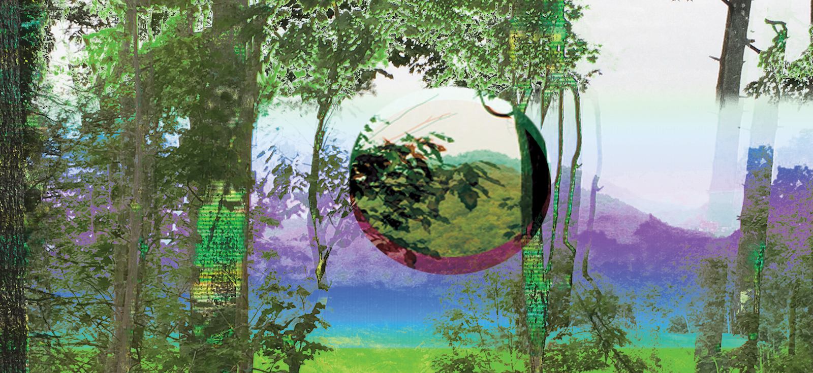 A digital landscape of colorful trees with a transparent sphere in the center.