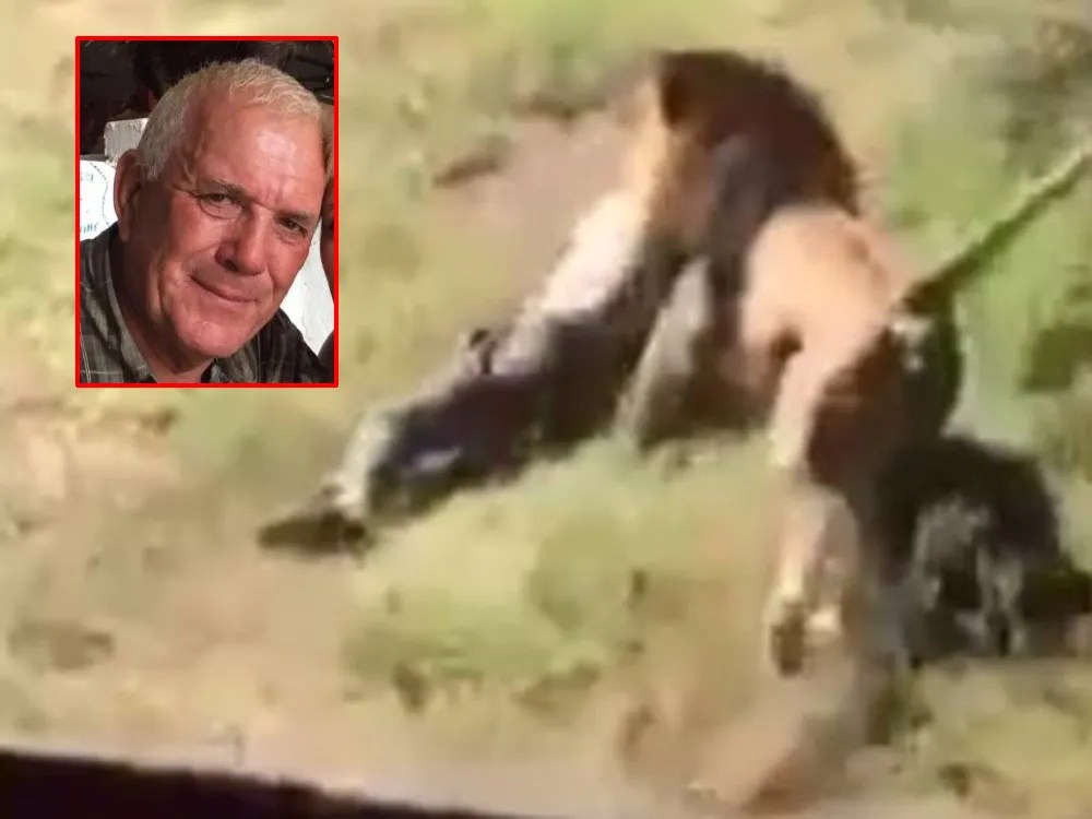 Savage Safari Senior Dragged Away Mauled By Lion At South