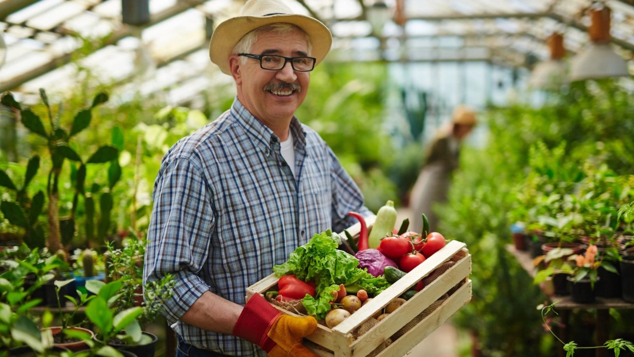 what are emblements in real estate