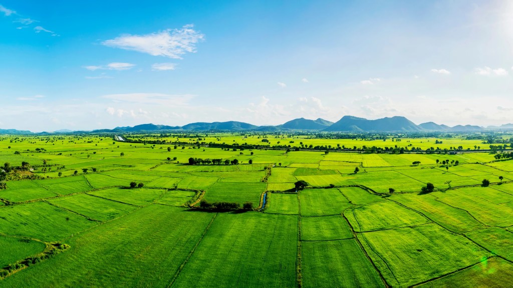 parcel of land