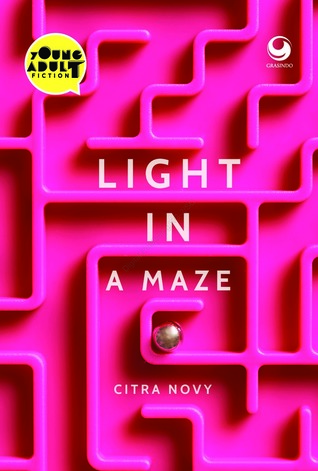 light in a maze citra novy