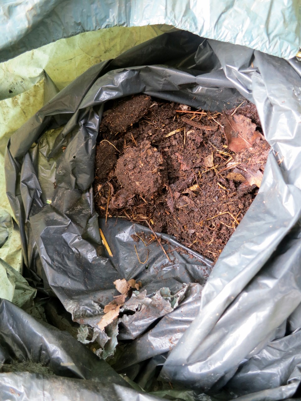 100 Fantastique Conseils Compost De Feuilles De Chene