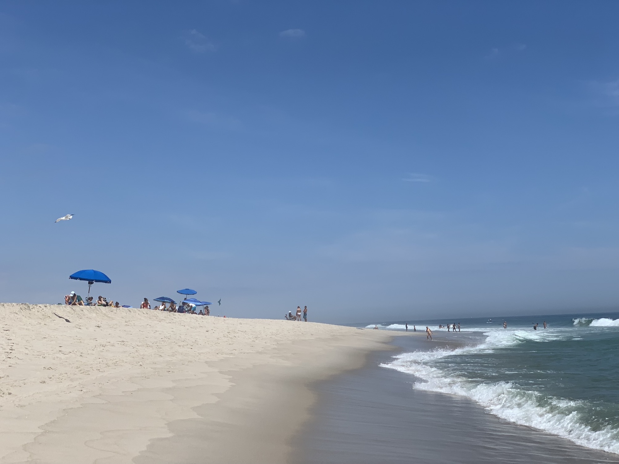 Portraits of the Jersey Shore 2023 Portraits of the Jersey Shore