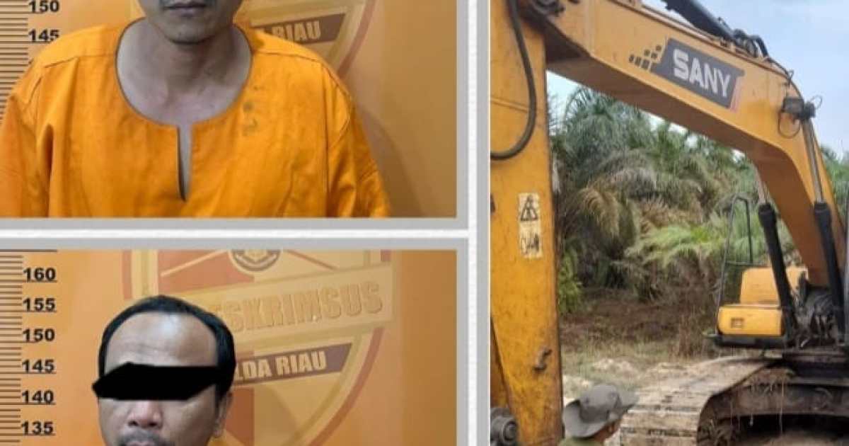 Dua Pelaku Pembakararan Hutan di Kampar Berhasil Diringkus Polisi