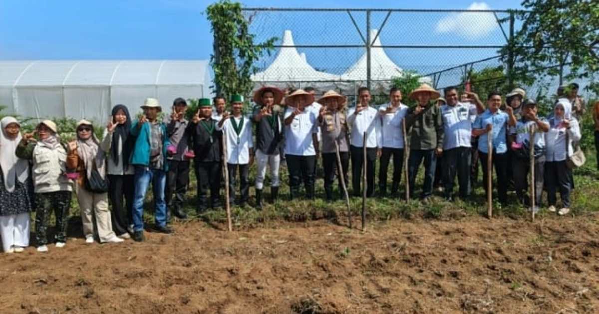 BUMDes Suka Maju & HMI Rohul Gelar Tanam Jagung, Dukung Ketahanan Pangan Daerah