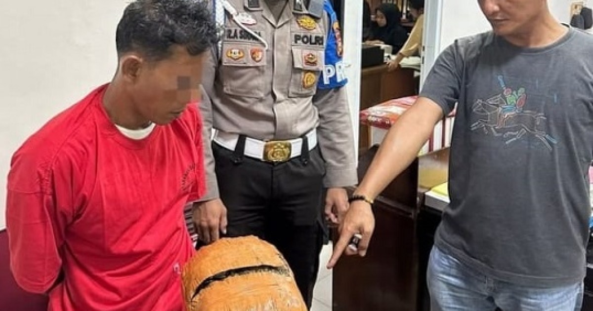 Polres Rohul Ringkus Pengedar Ganja 1 Kg di Pinggir Jalan Desa Suka Maju