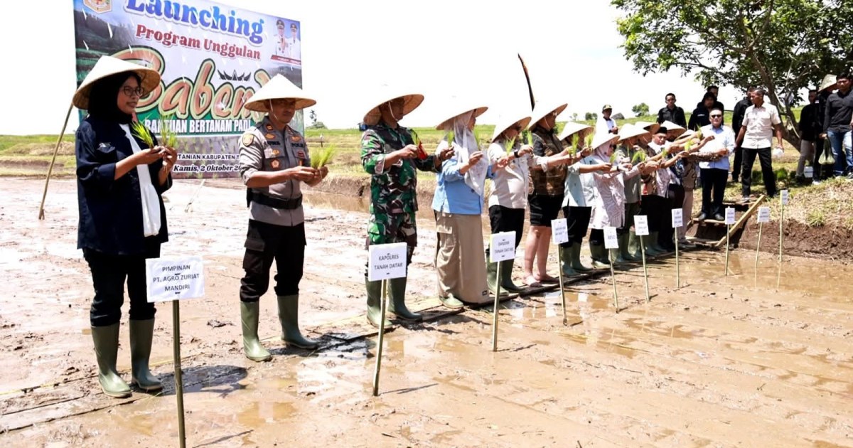 Petani Tanah Datar Apresiasi Program Bantuan Bertanam Padi