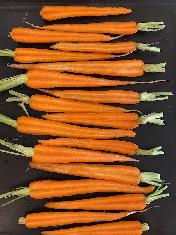 Obsessed With Carrots!