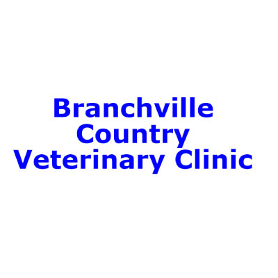 Branchville country veterinary clinic