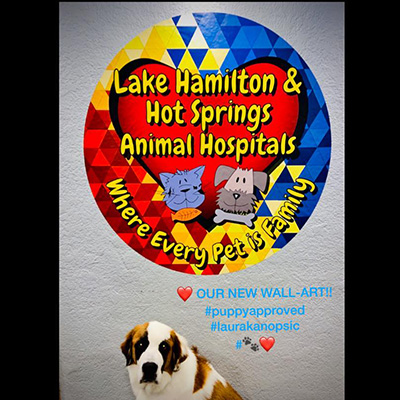 Lake hamilton animal hospital