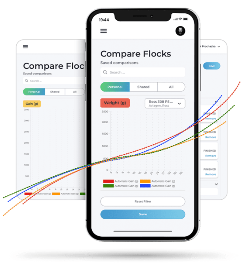 Bat Cloud B - 8K Nature Backgrounds for Desktop