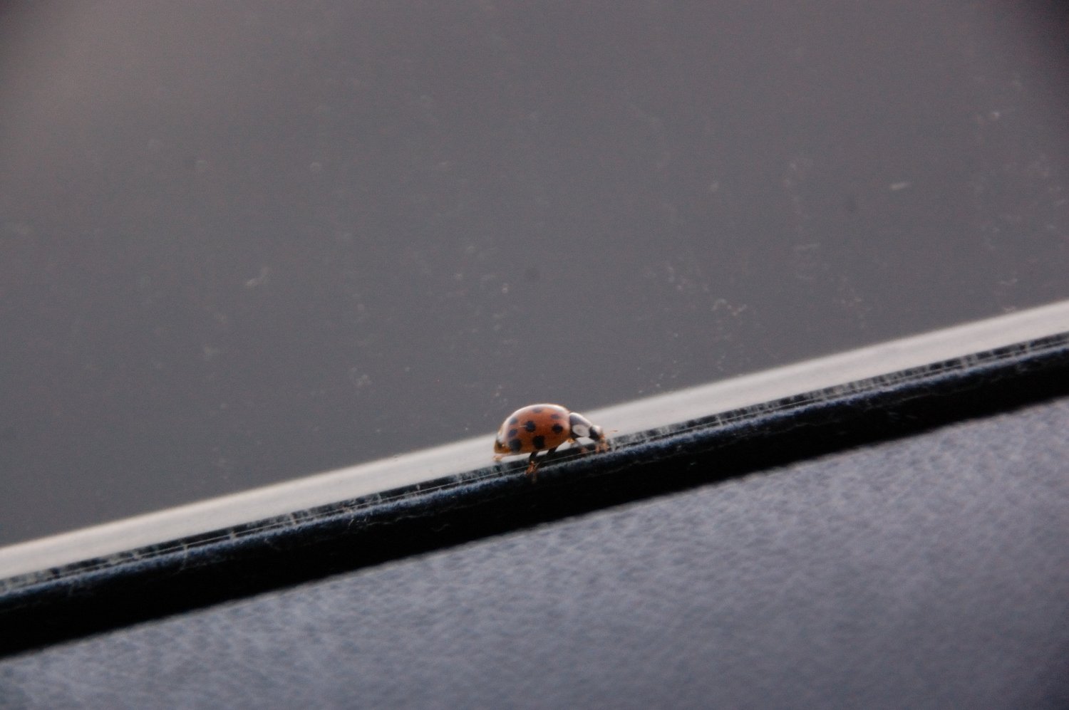Athlète dans sa tenue traditionnelle en plein effort