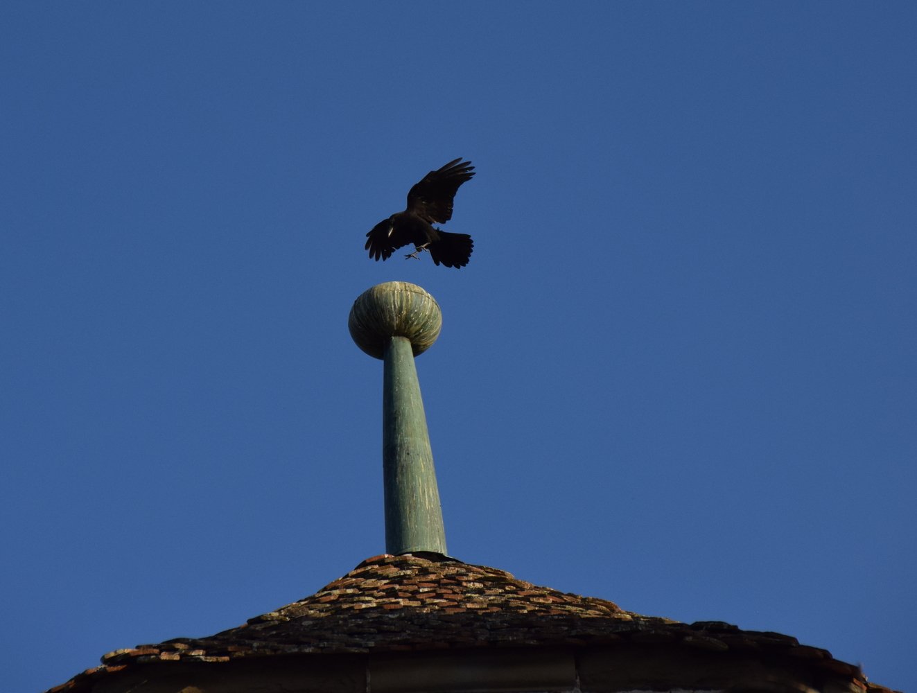 Aéronef en phase d’atterrissage, vent sud-sud-est