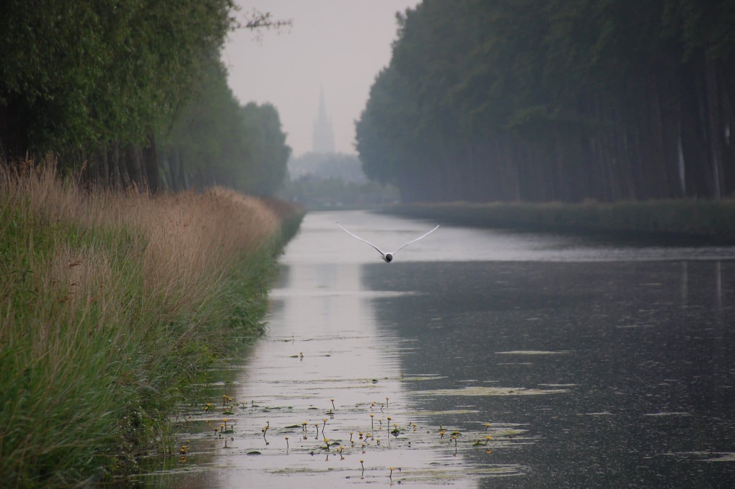 Autoroute aérienne pleine de charme