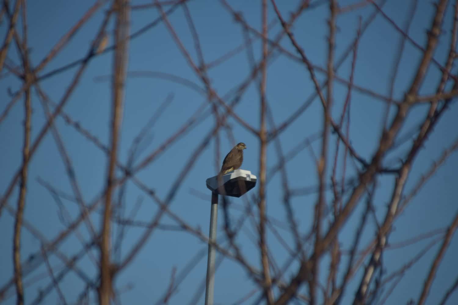 Je me sens surveillé