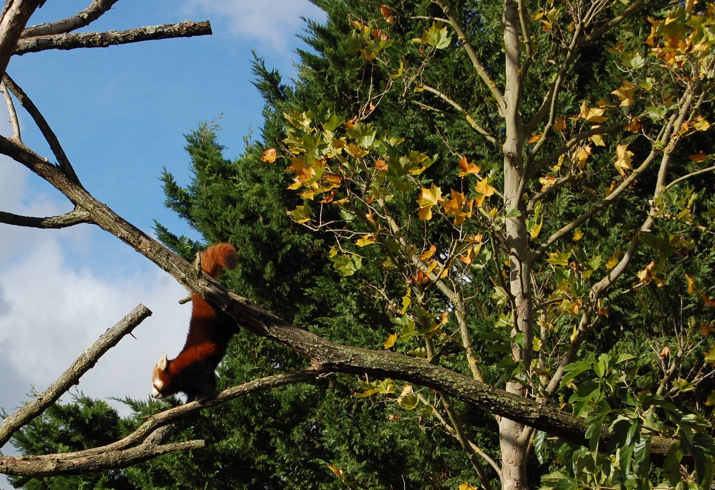 Séance étirements matinale