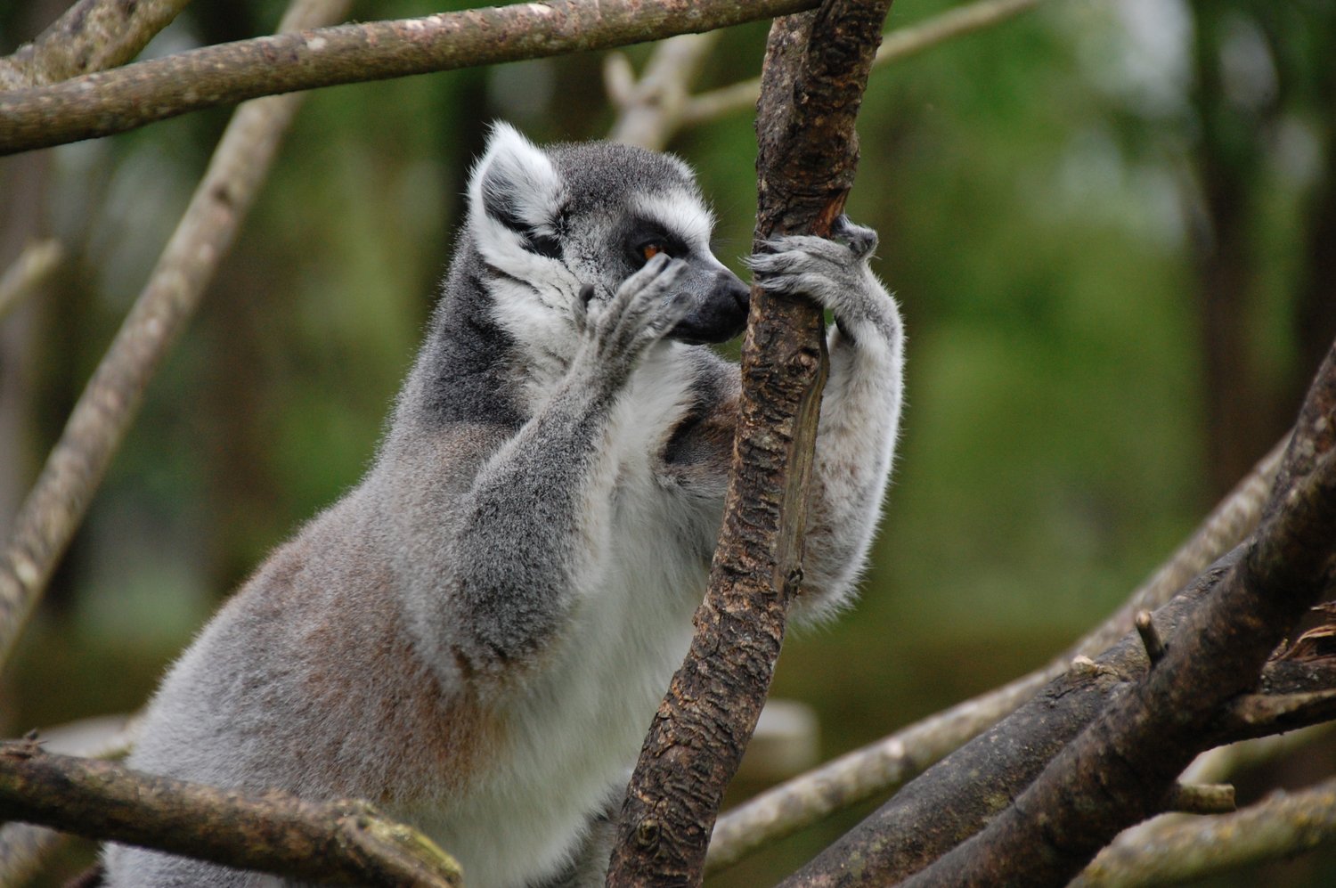 Je me refais une beauté...