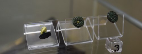 La patafix n'est pas une technologie validée pour la muséo !