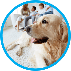 Carpet Cleaning Albuquerque | Albuquerque Carpet Care | Albuquerque Carpet Cleaner | Power Clean Carpet Cleaning | tile-grout-cleaning-abq-tile-cleaning-grout-albuquerque-rio-rancho-corrales-placitas-albuq-abq