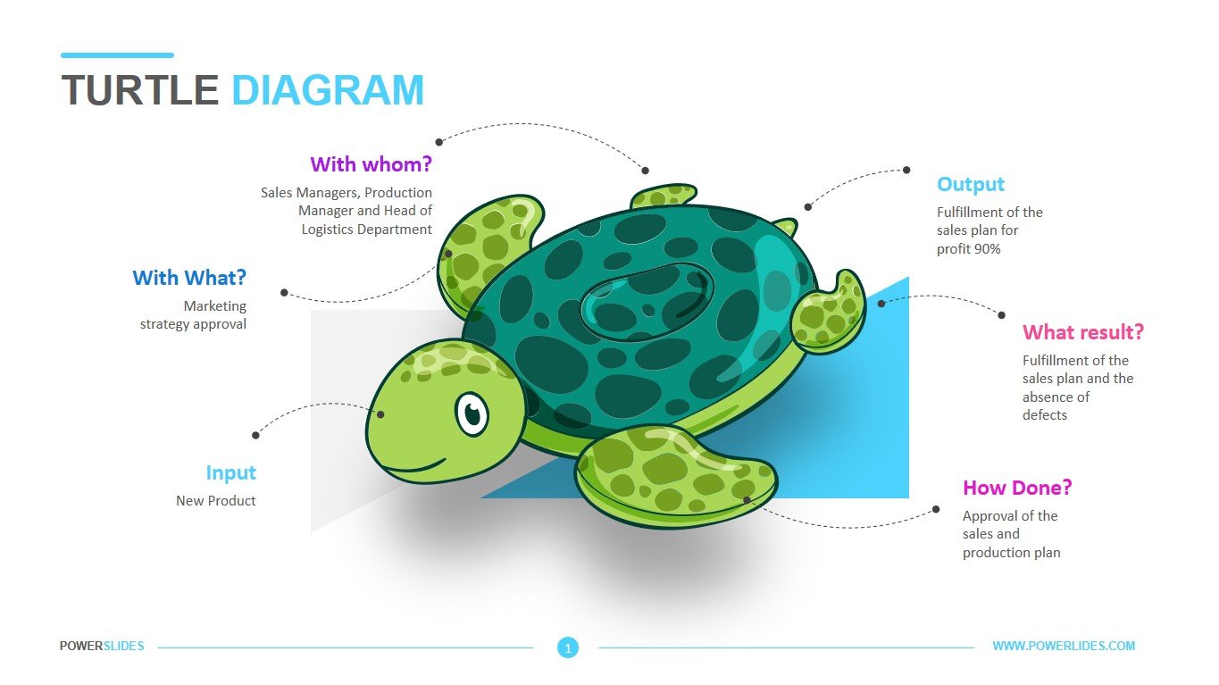 Turtle diagram template