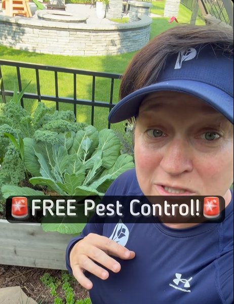 Free Pest Control video