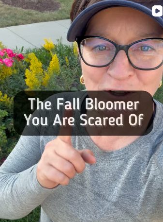 The Fall Bloomer You're All Scared Of video