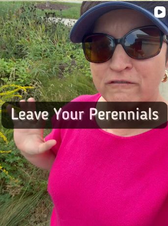 Leave Your Perennials video